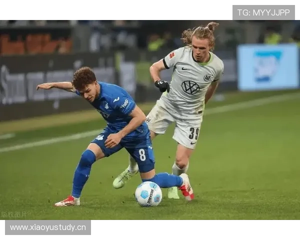 霍芬海姆青训体系实力持续提升,年轻球员表现稳健 霍芬海姆青训体系实力持续提升,年轻球员表现稳健