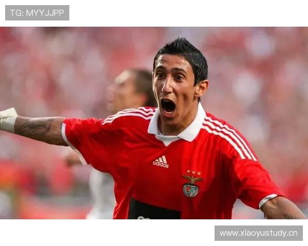 安赫尔·迪马利亚：世界杯与美洲杯夺冠实现国家队大满贯