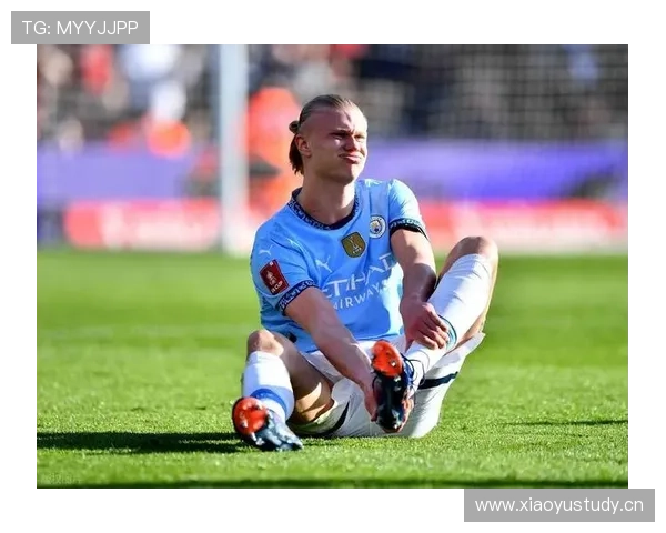 哈兰德关键战隐身争议：数据与实际影响偏差分析