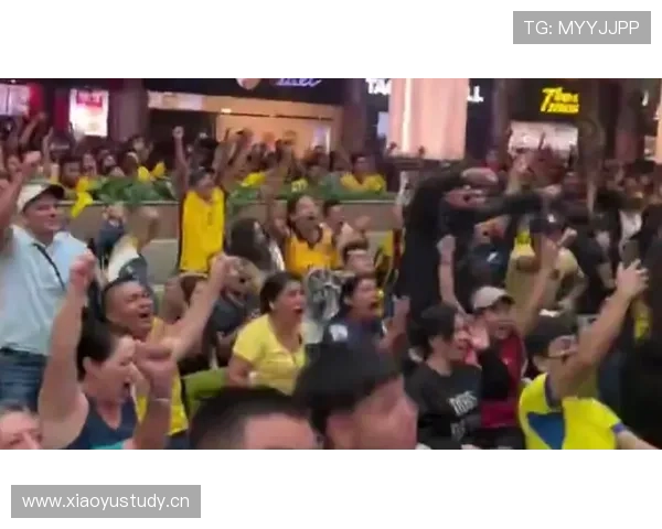 厄瓜多尔晋级世界杯淘汰赛：2-1德国成为关键比分